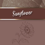 200 ml - Sunflower (Zonnebloem) Massage oil -  met Flipdop