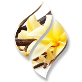 1 ltr. - Vanilla (Vanille) - Opgietconcentraat / EXTRA GECONCENTREERD