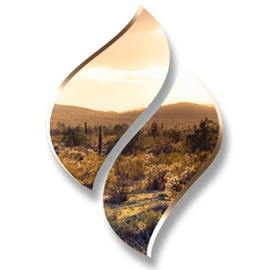 1 Ltr. - Calm Desert (Cactus) - opgietconcentraat / EXTRA GECONCENTREERD