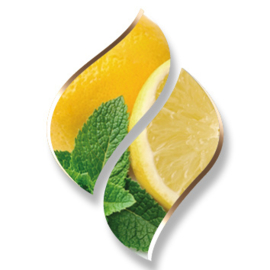1 ltr. Lemonmintcitrus mix voor verstuiver