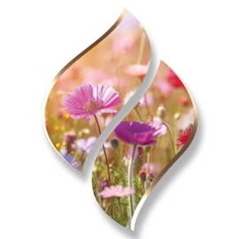 1 ltr. - Secret Flowers - Opgietconcentraat / EXTRA GECONCENTREERD