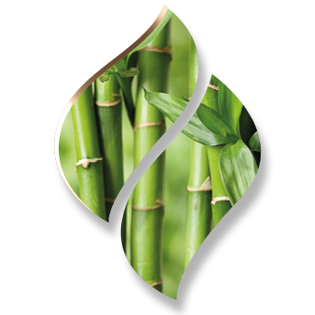 2,5 ltr. - Bamboo (Bamboe) - Opgietconcentraat / EXTRA GECONCENTREERD