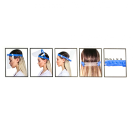 Face shield