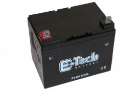 GEL Accu voor Zitmaaier 12 V 32 Ah met + pool links