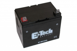 GEL Accu voor Zitmaaier 12 V 22 Ah met + pool links