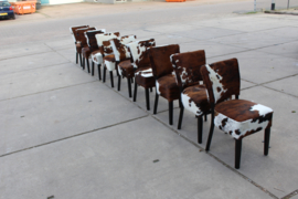 Bistro stoel, set van 6 stuks , in tricolor koeienhuid