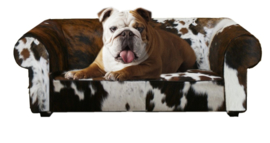 Bertha hondenbank in tricolor koeienhuid medium