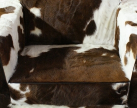 bruin/wit koeienhuid