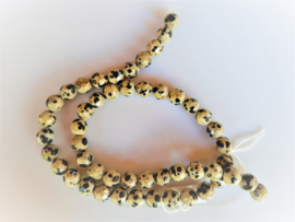 Dalmatier jaspis kraal rond facet 7.8-8 mm