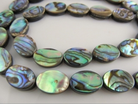 Abalone ovale kraal  14x10 mm