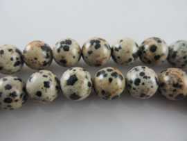 Dalmatier jaspis ronde kraal 10 mm