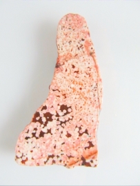Howliet hanger wit-roze-bruin  5.3 cm
