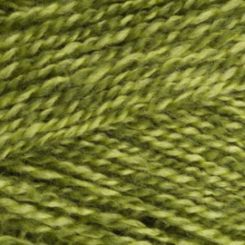Style Craft - Special DK Extra -- Greengage 1124