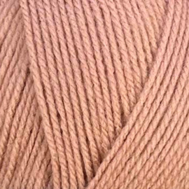 Style Craft Special DK Milky Tea  2172