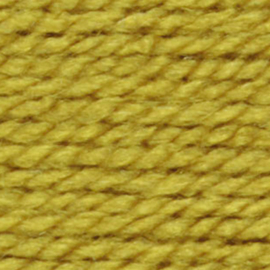 Stylecraft Special Chunky ~ Lime 1712Mooi zacht garen in heldere kleuren   100 % Acryl ,   100 gram met een looplengrte van 144 meter ,  Naalden 6 - 7Mooi zacht garen in heldere kleuren   100 % Acryl ,   100 gram met een looplengrte van 144 meter ,  Naald