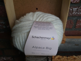 Alpaca Big 002