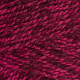 Style Craft - Special DK Extra -- Carnetion 1204