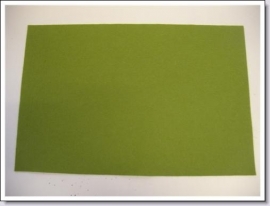 Wolvilt , Groen 41