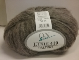 Linie 419 - Paltino 0003