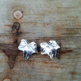 SIlver earrings hedera - Zilveren oorbellen klimop (K1)