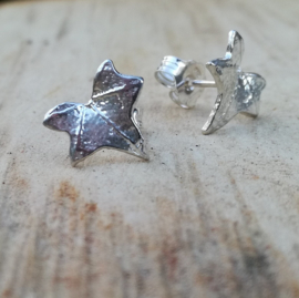 Silver earrings hedera - Zilveren oorbellen klimop
