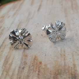 Silver earrings ginkgo butterflys - Zilveren oorbellen ginkgo vlindertjes