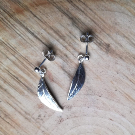 Silver earrings hedera helix - zilveren oorbellen klimop helix (N3)