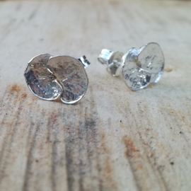 Silver earrings ceropegia - Zilveren oorbellen ceropegia(C1)