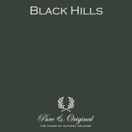 Traditional Paint Eggshell - Black Hills