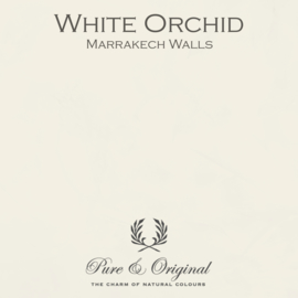 Marrakech Walls - White Orchid