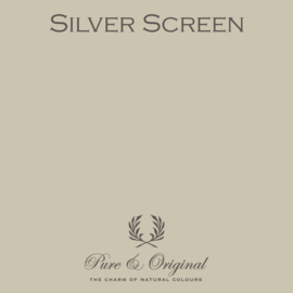 Traditional Paint Eggshell - Silver Screen