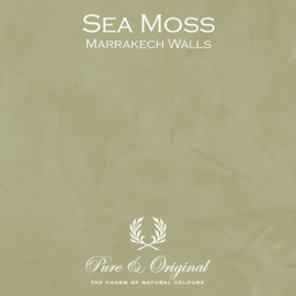 Marrakech Walls - Sea Moss