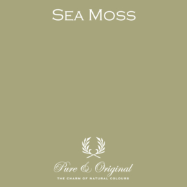 Carazzo - Sea Moss