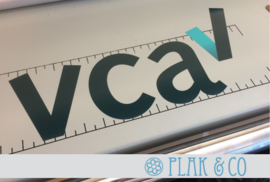 VCA sticker