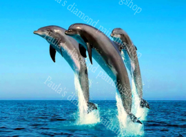3 Uit het water springende dolfijnen (40x50cm full painting)