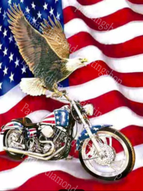 Arend op Harley davidson met Amerikaanse vlag (40x50cm full painting)