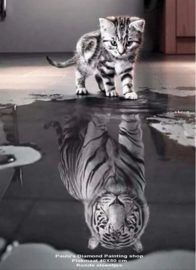 Poes ziet zich zelf in plas als tijger  (40x50cm full painting)