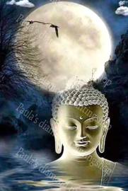 Boeddha bij volle maan  (40x50cm full painting)