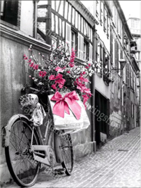 Een fiets met kado en bloemen in een steegje (40x50cm full painting)