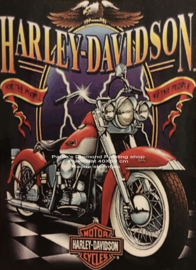 Harley Davidson met adelaar op spiegel (40x50cm full painting.)