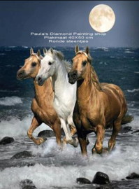 3 Paarden op het strand bij maanlicht (40x50cm) (full painting.)