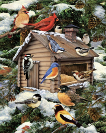 Winters vogelhuisje met diverse vogeltjes (40x50cm full painting)
