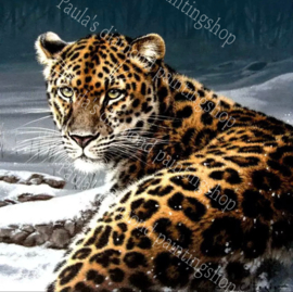 Jonge tijger liggend in de sneeuw (40x50cm full painting)