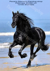 Zwart paard galoperend  (40x50cm) (full painting.)