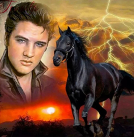 Elvis Presley met zwart paard (40X50cm full painting)