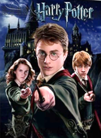 Harry Potter Painting nr.THD668