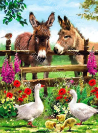 Twee ezels en twee ganzen met 3 kuikens (40x50cm full painting)