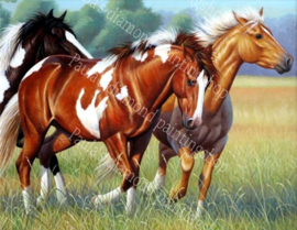 Drie paarden in de wei  (40x50cm full painting)
