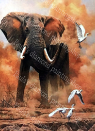 Een olifant met opvliegende vogels (40x50cm full painting)