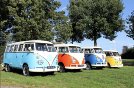 Volkswagenbussen op een rijtje (40 X50cm full painting)